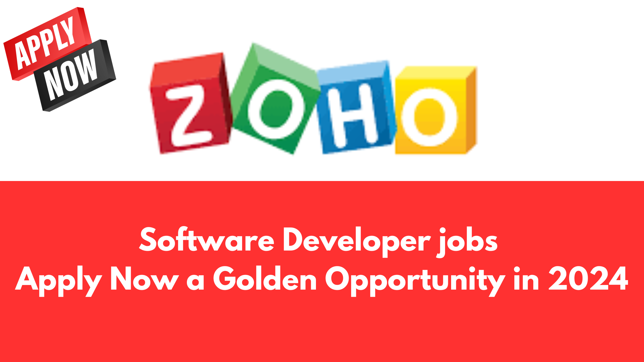 Software Developer jobs