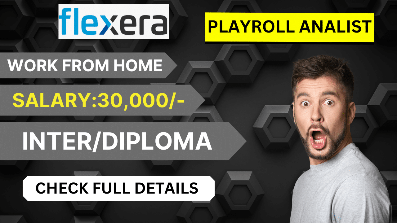 Work from Home Jobs in Flexera Company 2025